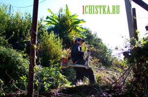 raschistka_uchastka006.jpg